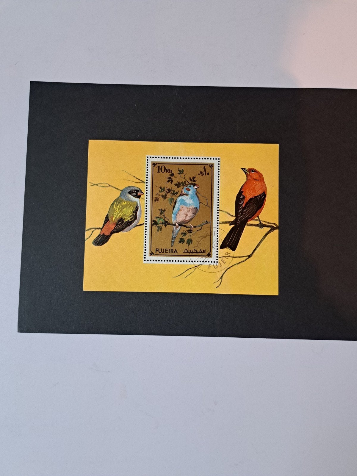 Postzegel blokje vogels - Gestempeld, Ophalen of Verzenden