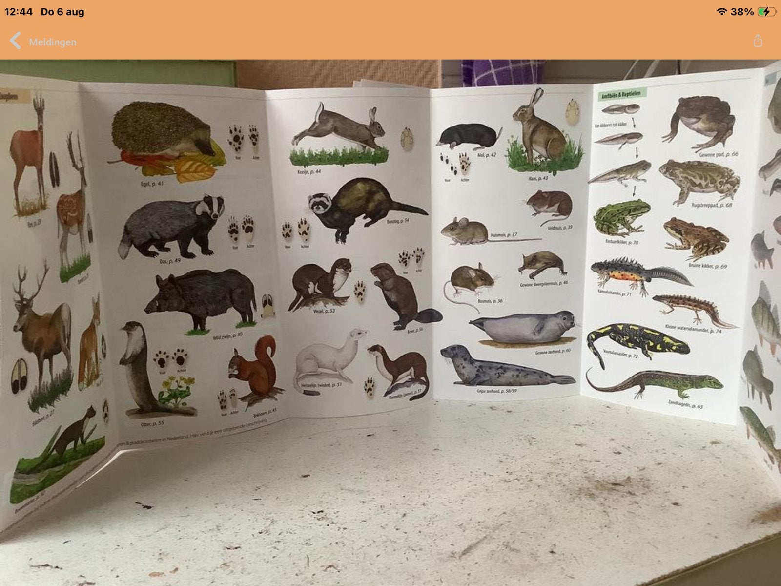 Natuurboeken Postcodeloterij: Wilde Dieren, Paddensto, Verzenden, Nieuw, Natuur algemeen