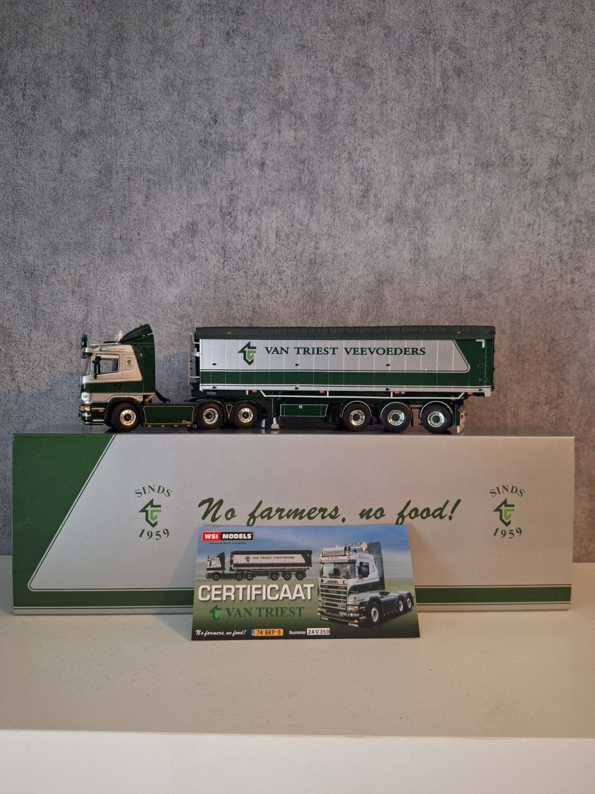 wsi Scania van Triest, Hobby en Vrije tijd, Ophalen of Verzenden, Zo goed als nieuw, Truck, Overige merken