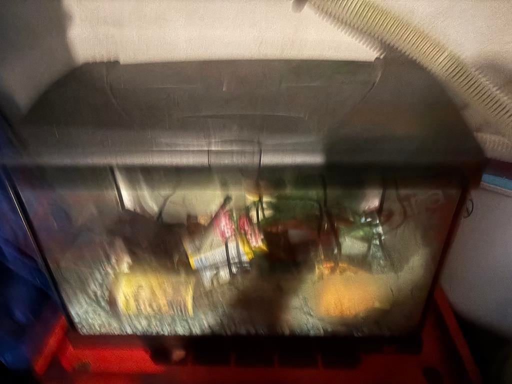 Complete aquariumset zwart. €30, Vis