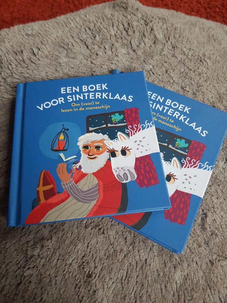 Nieuw leuk Sinterklaas boekje, €1,00 per boekje., Ophalen of Verzenden, Nieuw, Fictie algemeen