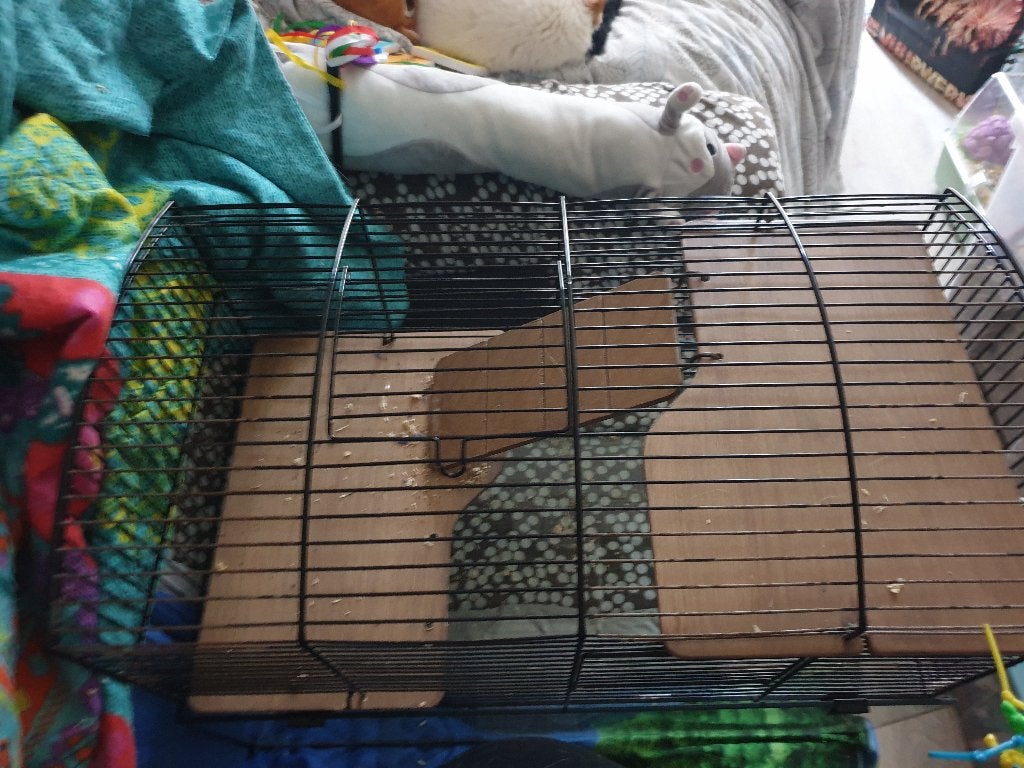 Knaagdieren hok, Gebruikt, Minder dan 75 cm, Muis, Hok