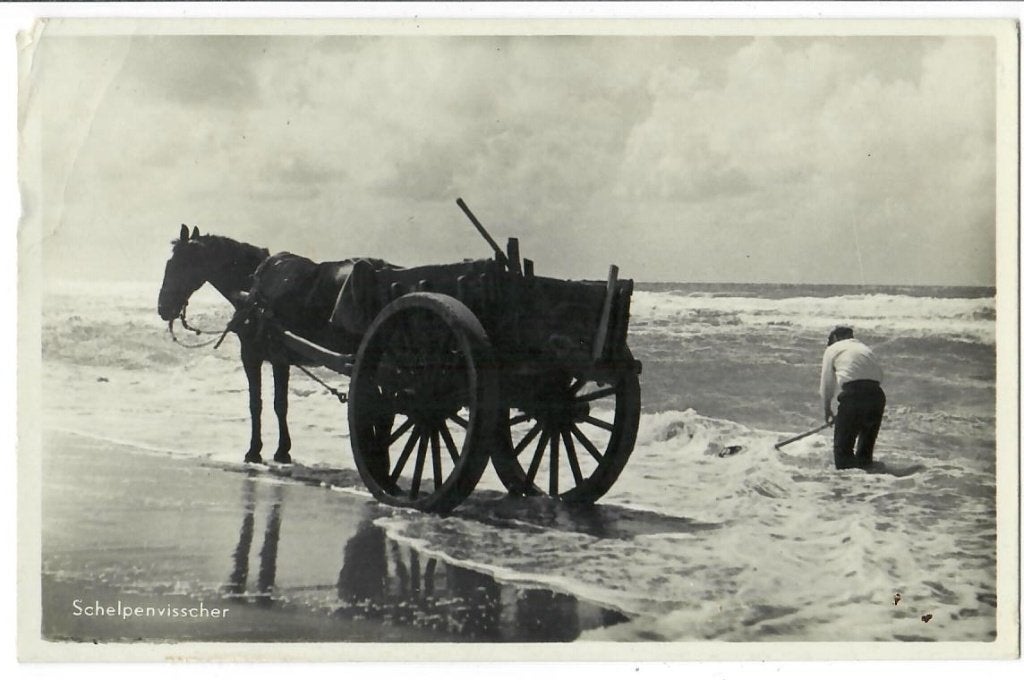Schelpenvisscher, Verzenden, 1920 tot 1940, Ongelopen, Noord-Holland
