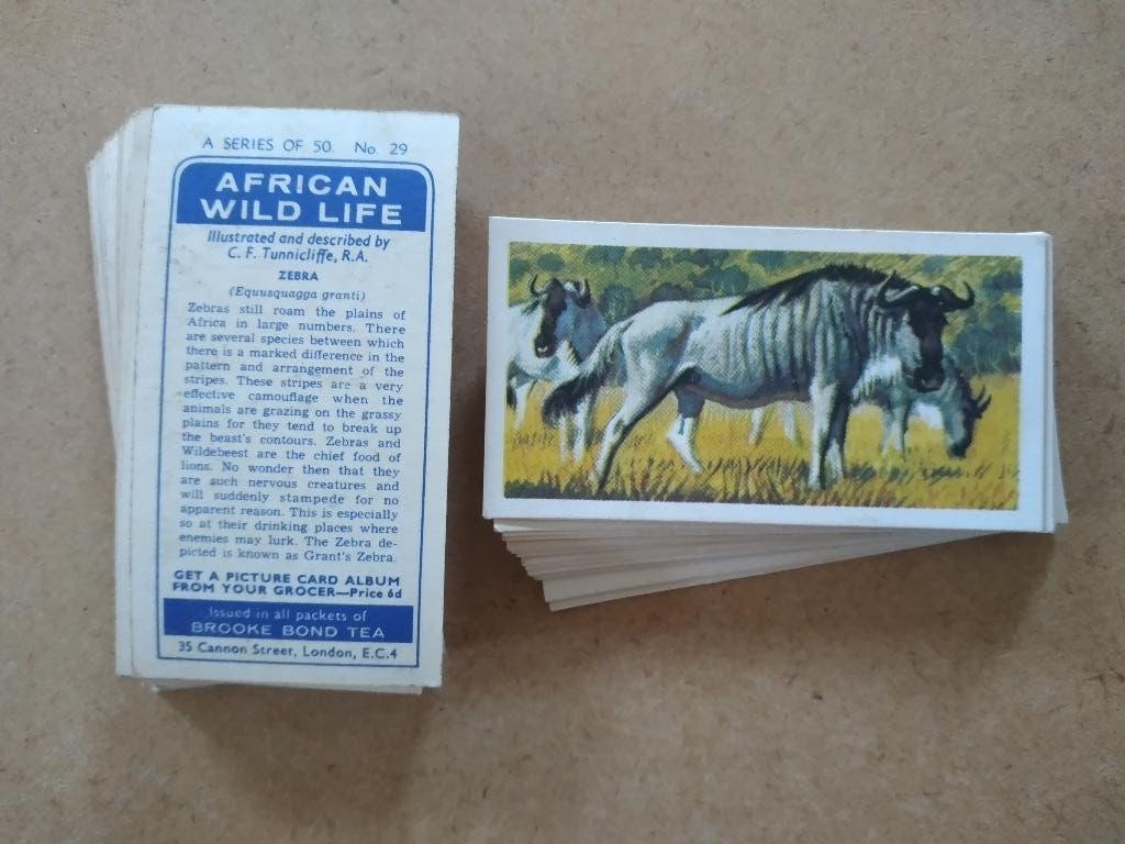 African Wild Life compl. set 50 tea cards wilde dieren 1961, Verzamelen, Ophalen, Gebruikt