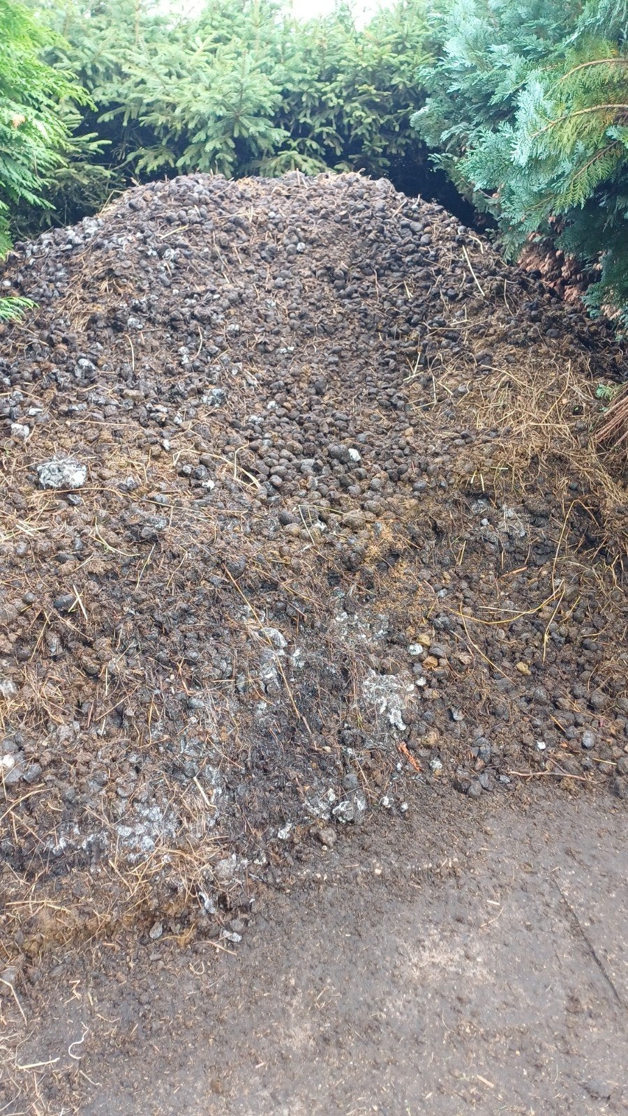 Gratis!  Paardenmest voor uw tuin, Ophalen, Mest