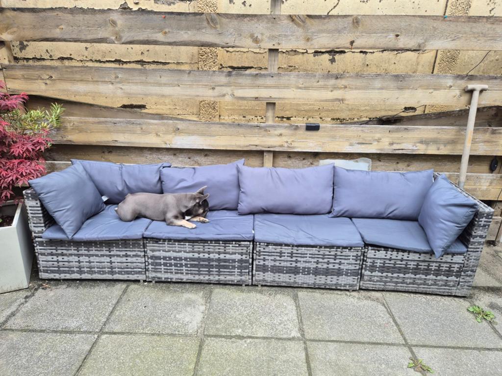 Zo goed als nieuwe tuinbank 4 personen met tafeltje, Tuin en Terras, Tuinsets en Loungesets, Ophalen, 4 zitplaatsen, Bank, Zo goed als nieuw