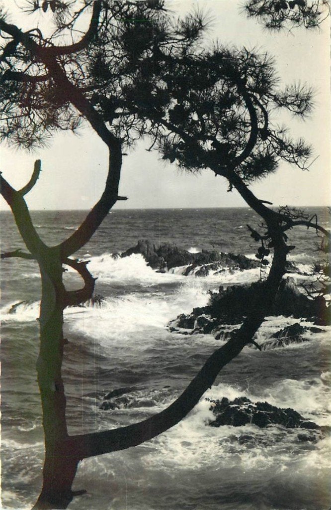 701-465-029 Cote d Azur, Verzenden, Voor 1920, Frankrijk