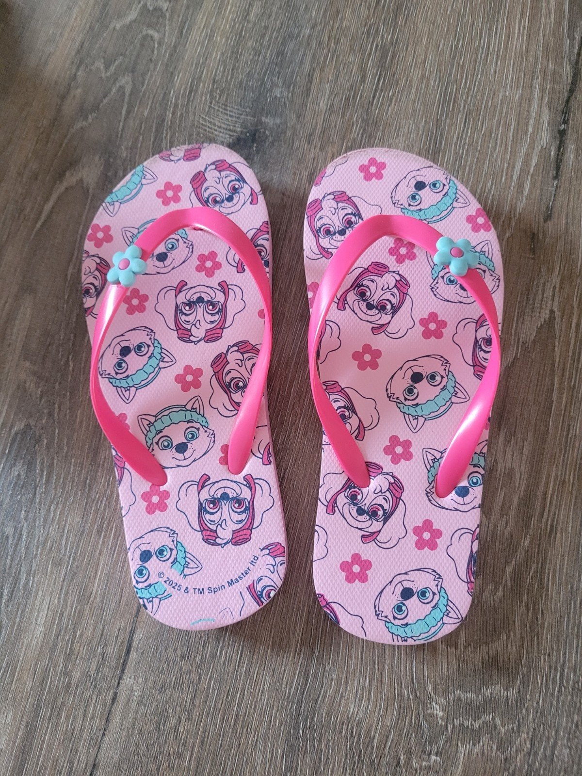 Leuke roze meisjes teenslippers Paw Patrol maat 29/30, Ophalen of Verzenden, Gebruikt, Meisje, Schoenen