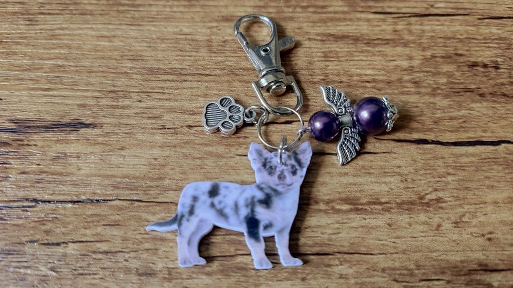 Sleutelhanger Chihuahua H met beschermengeltje, Verzenden, Nieuw