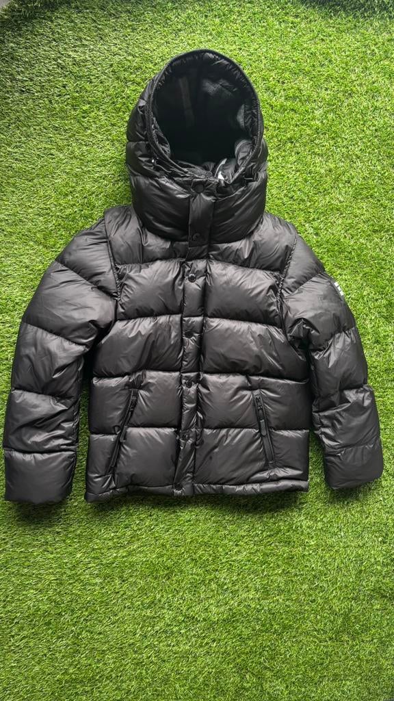 Burberry 2 in 1 Puffer Halsby, Kleding | Heren, Jassen | Winter, Ophalen of Verzenden, Zo goed als nieuw, Overige maten, Zwart