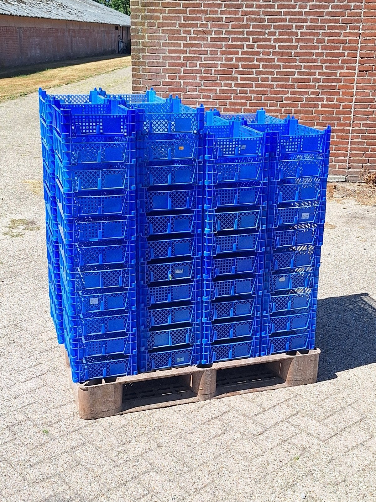 plastic kratjes incl kunstof pallet, Gebruikt, 40 tot 60 cm, Minder dan 35 cm, Minder dan 50 cm
