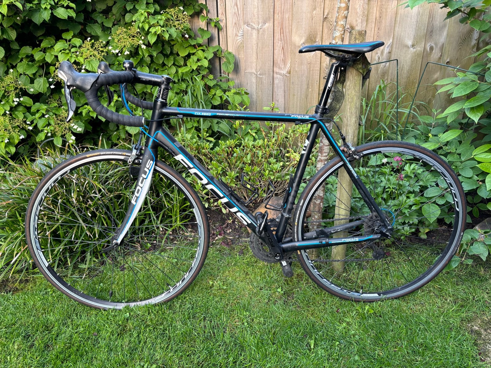 Focus Culebro racefiets - Maat L, 28 inch, Gebruikt, Aluminium, 57 tot 61 cm