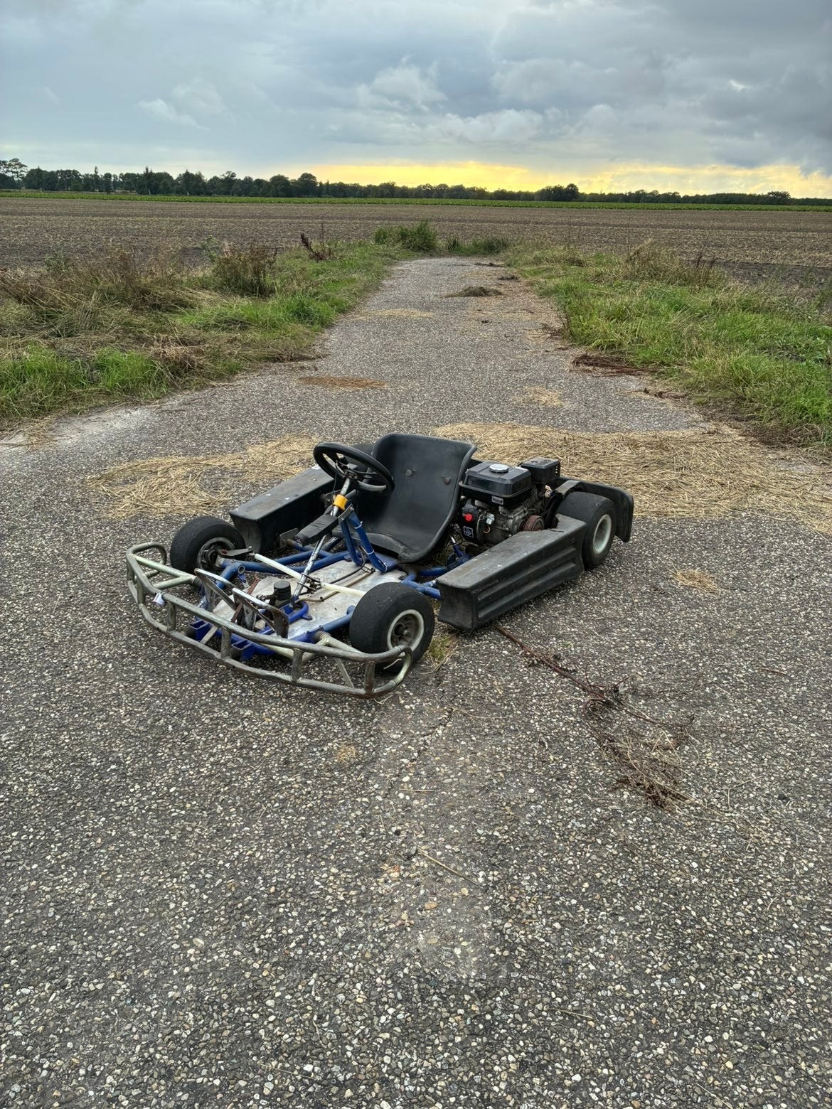kart 212cc, Sport en Fitness, Karting, Ophalen, Kart