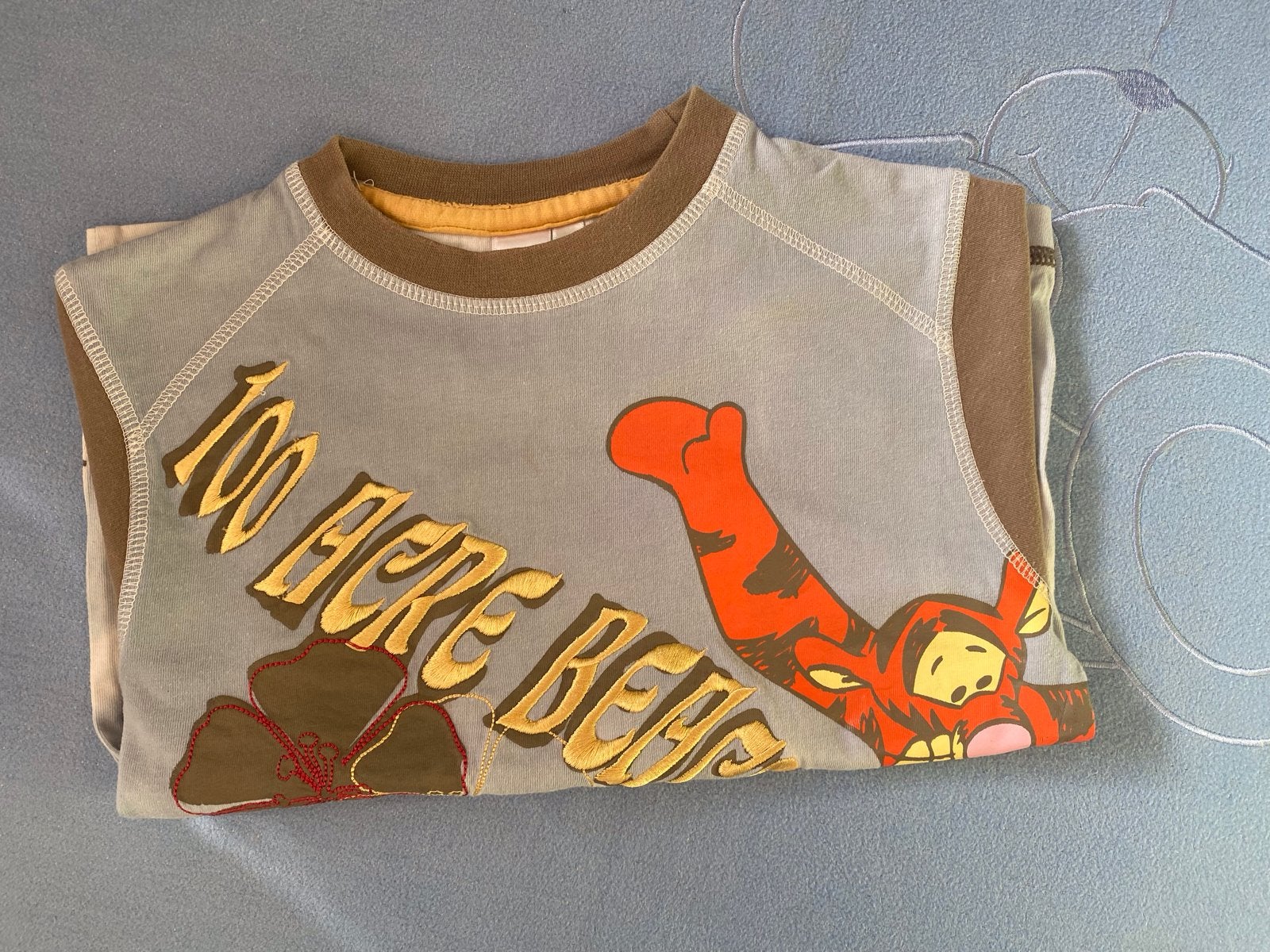 Disney T-shirt Tijgertje '100 Acre Bear' maat 104, Ophalen of Verzenden, Zo goed als nieuw, Jongen, Shirt of Longsleeve
