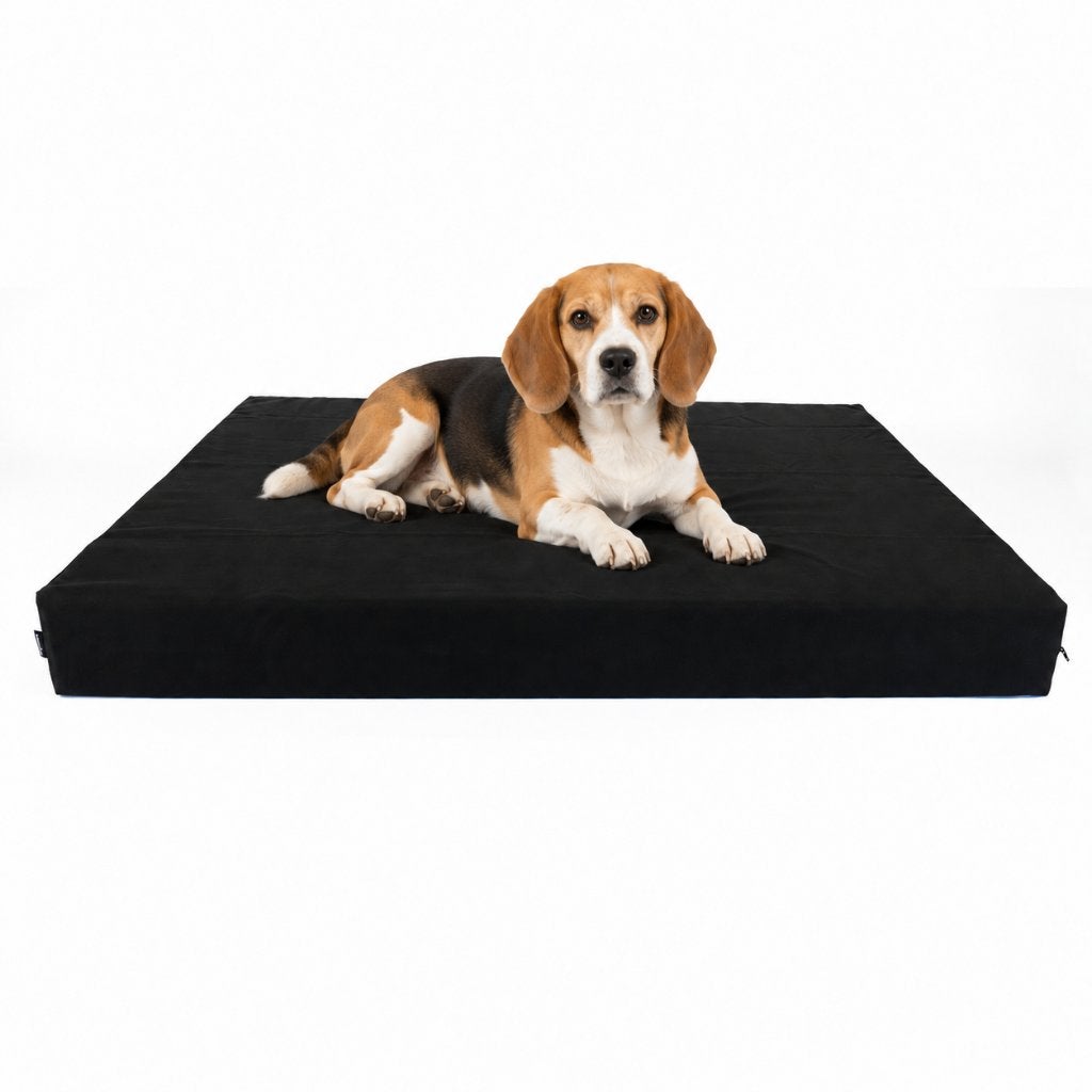 Orthopedische hondenmand M - Beagle, Franse Bulldog, Cocker, Dieren en Toebehoren, Verzenden, Nieuw, Polyester