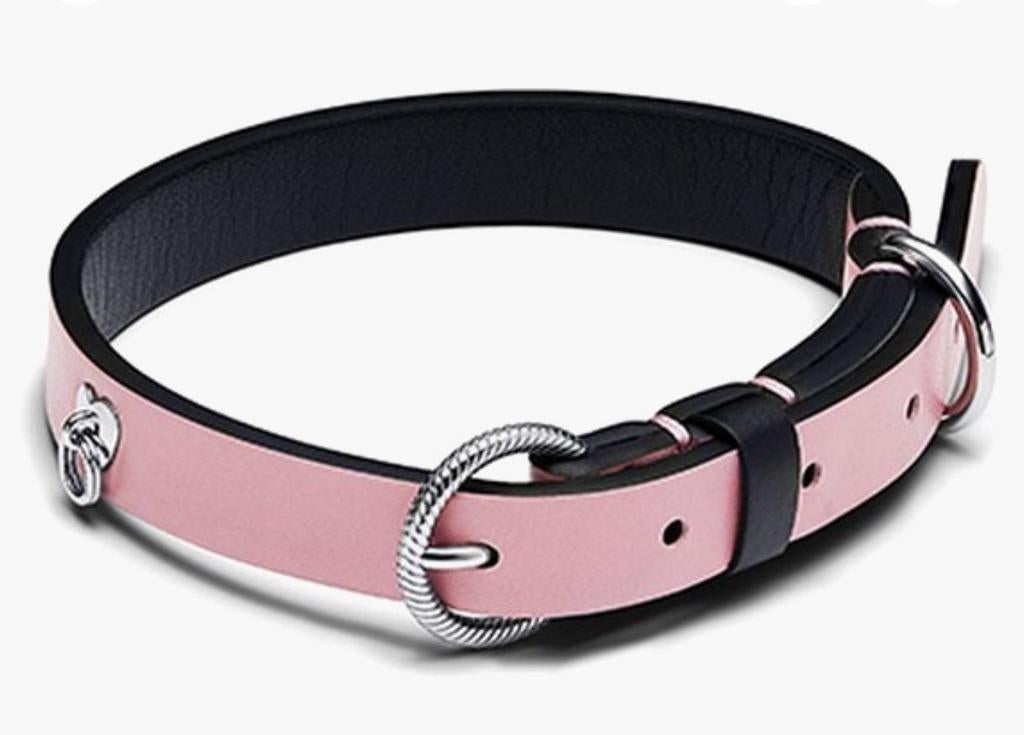 Pandora Halsband voor kat of kleine hond, Ophalen of Verzenden, Nieuw