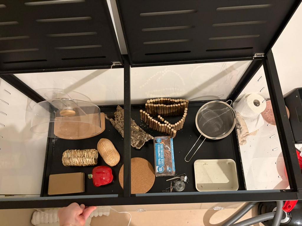 Bucastate Terrarium, Ophalen, Zo goed als nieuw, Overige typen