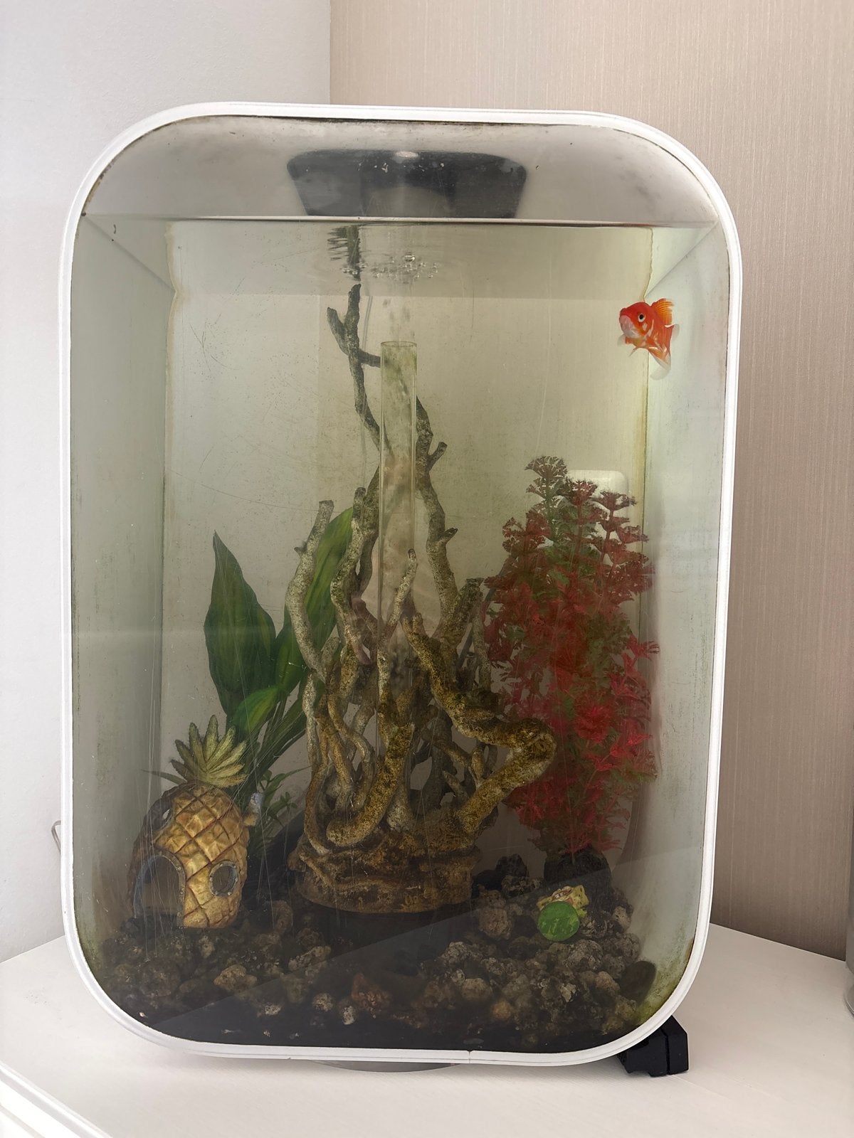 BiOrb Aquarium LIFE 15 LED 60 liter, Ophalen, Inclusief planten, Gebruikt, Overige typen