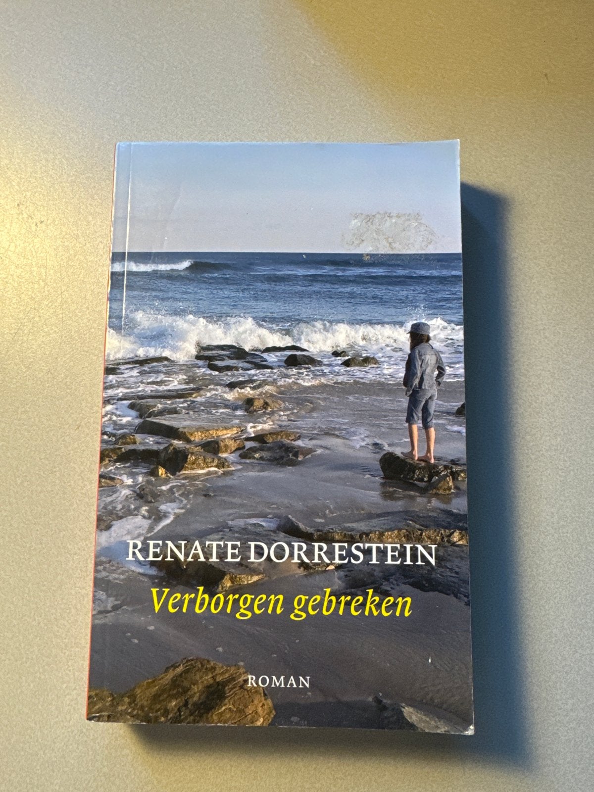 Renate Dorrestein - Verborgen gebreken (Roman), Ophalen of Verzenden, Gelezen, Nederland