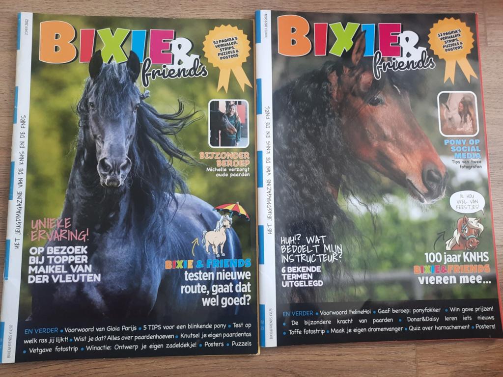 Bixie & Friends tijdschriften, Ophalen of Verzenden, Zo goed als nieuw