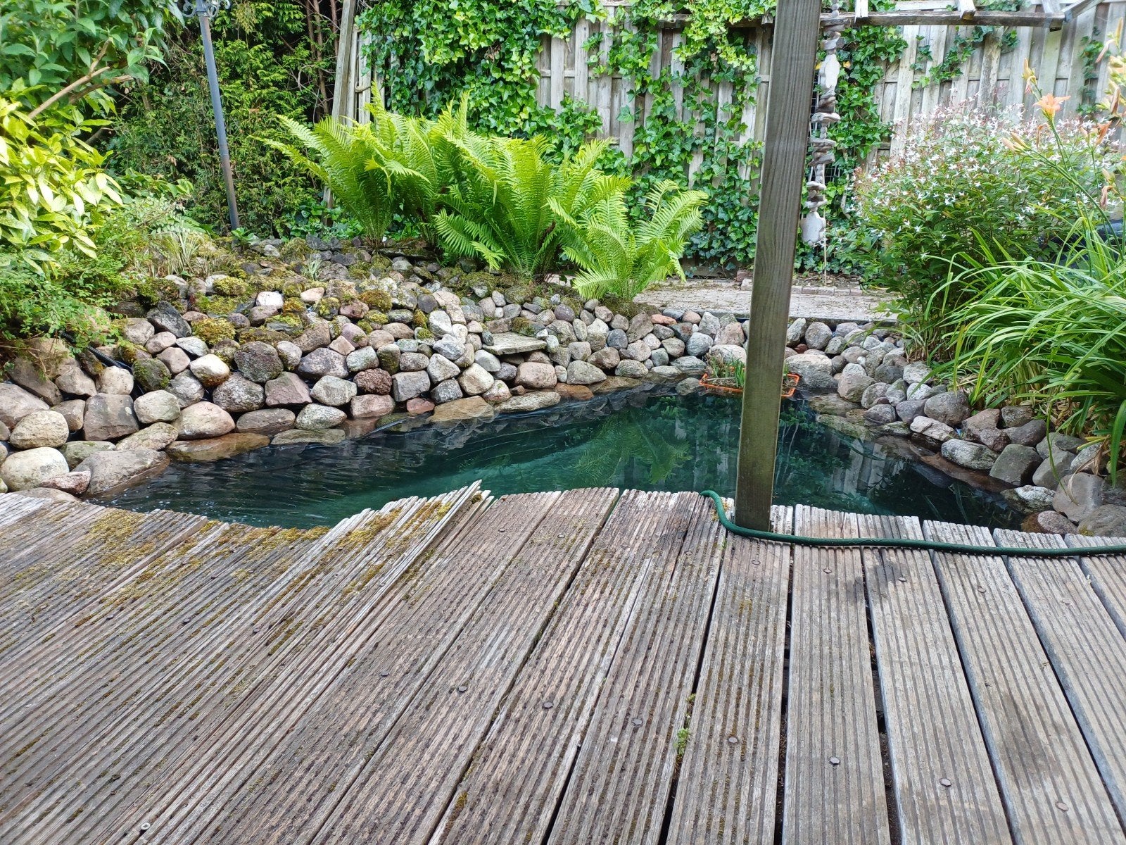 Nieuwe bewoners gezocht