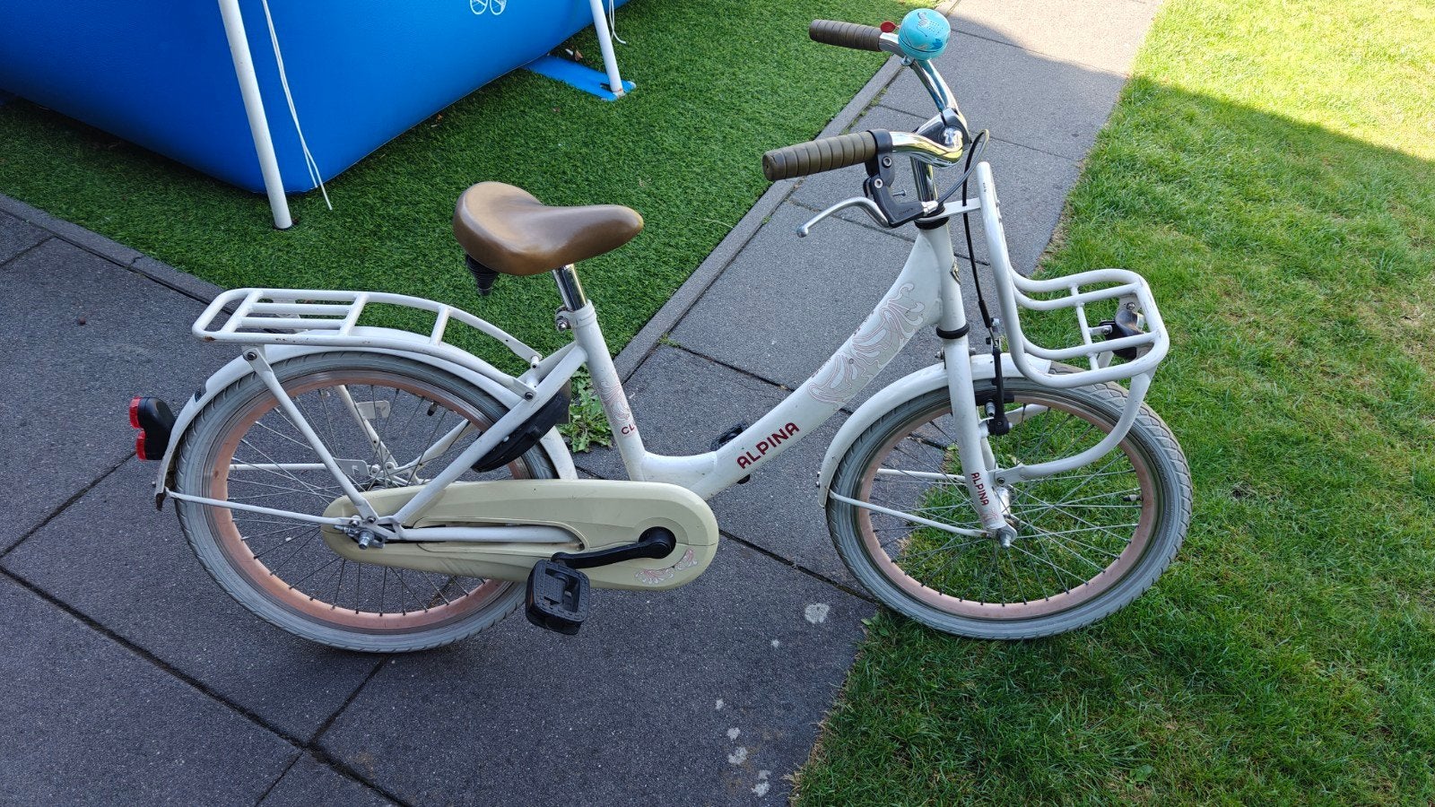 Alpina kinderfiets 20 inch met voordrager, Fietsen en Brommers, Ophalen, Gebruikt, Alpina, Terugtraprem