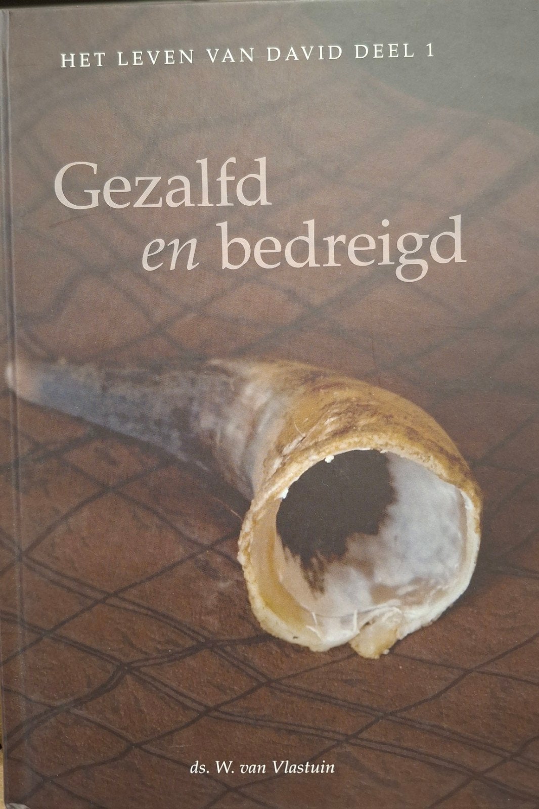 W. van Vlastuin - Het leven van David, Boeken, Gelezen, Ophalen of Verzenden, W. van Vlastuin