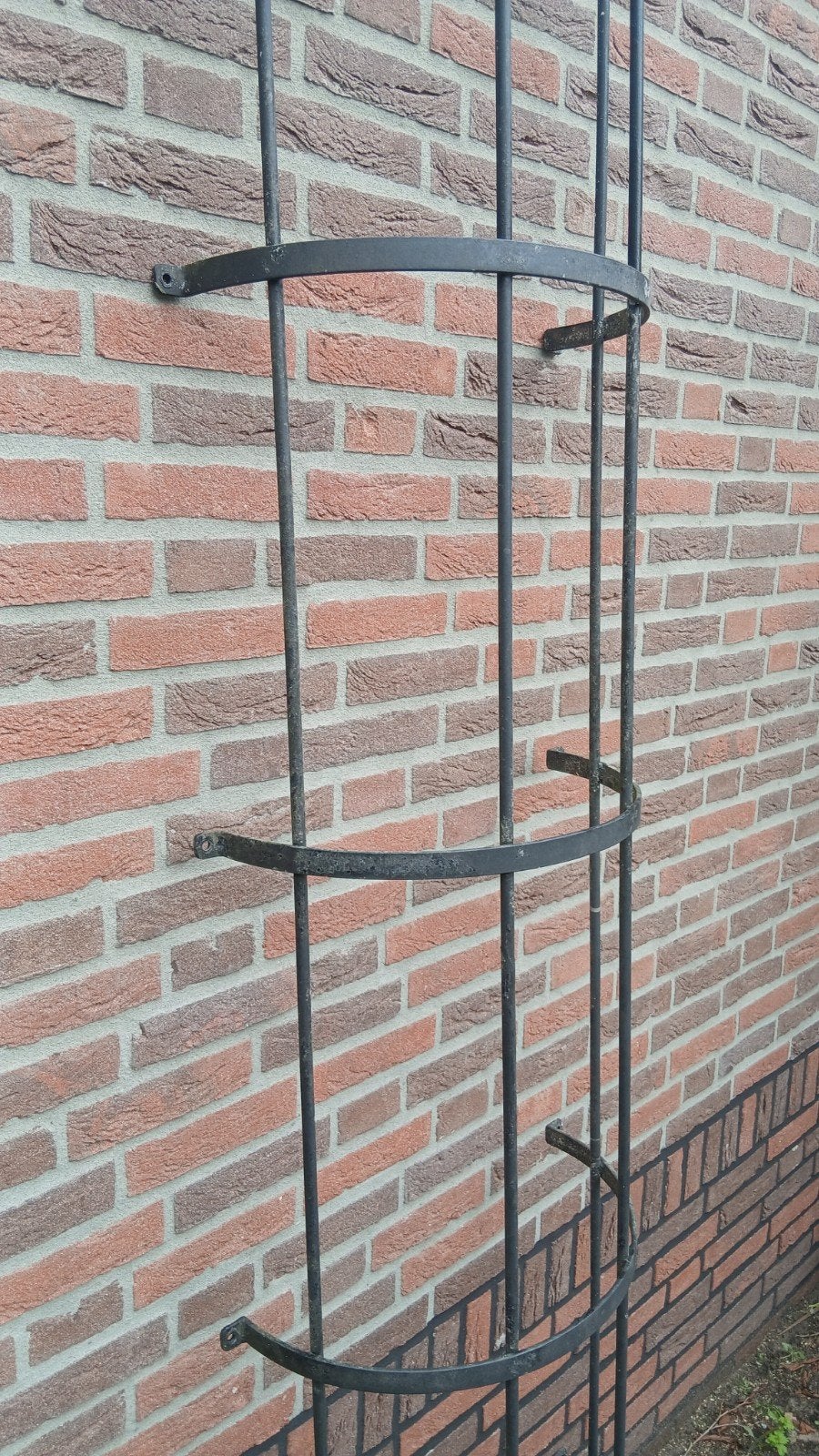 2 grote, stevige, metalen planten rekken, klimrek, Ophalen, Zo goed als nieuw, Minder dan 10 meter