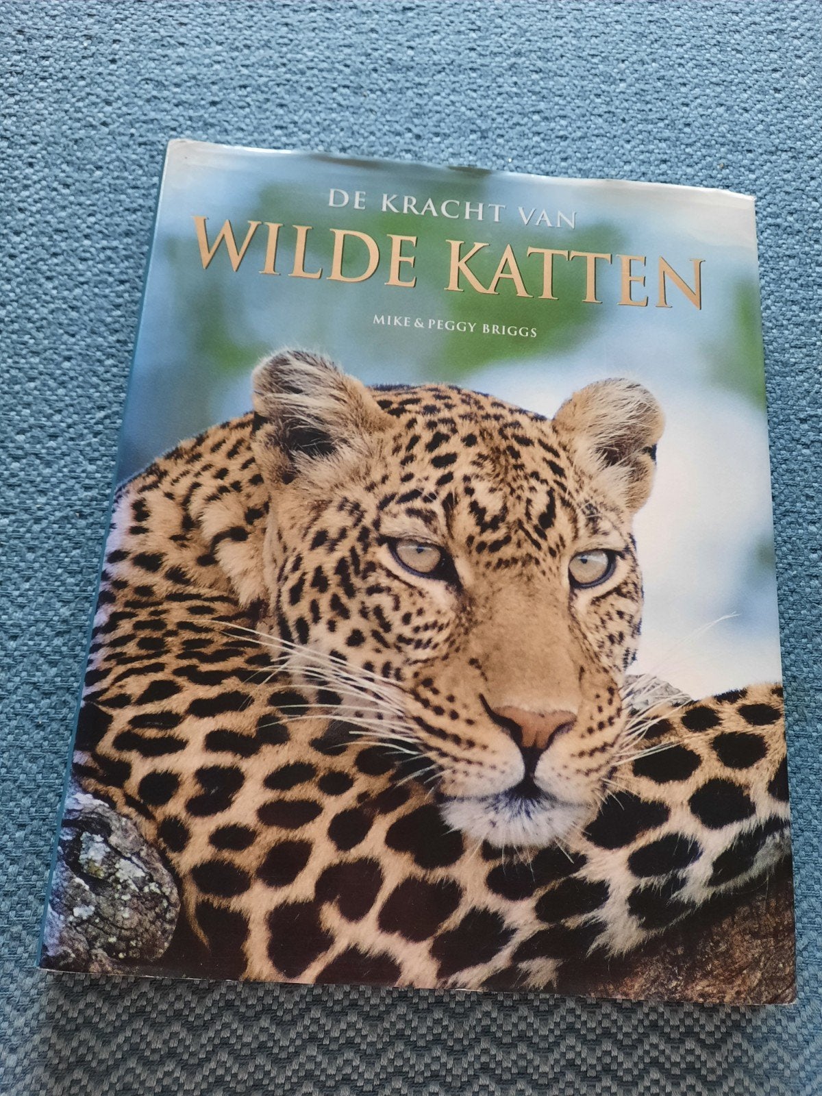 De Kracht van Wilde Katten - Hardcover Boek, Ophalen of Verzenden, Nieuw, Natuur algemeen, Mike & Peggy Briggs