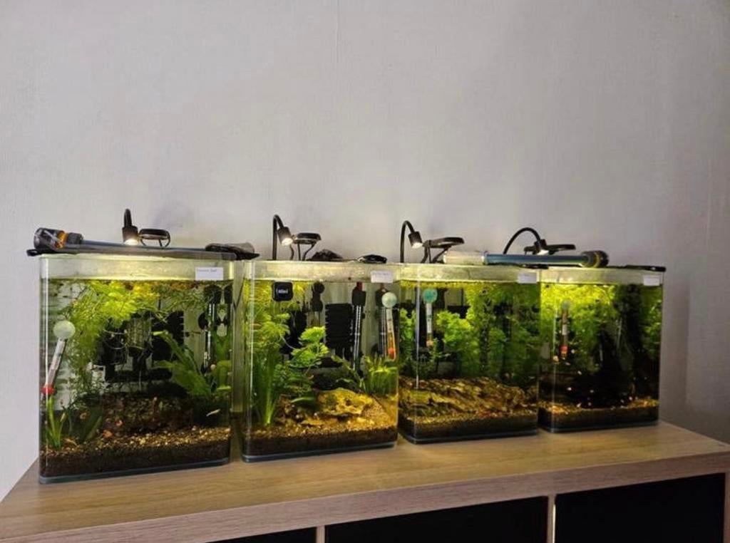 Kant en klare 20 liter aquariums, Dieren en Toebehoren, Ophalen, Zo goed als nieuw, Leeg aquarium