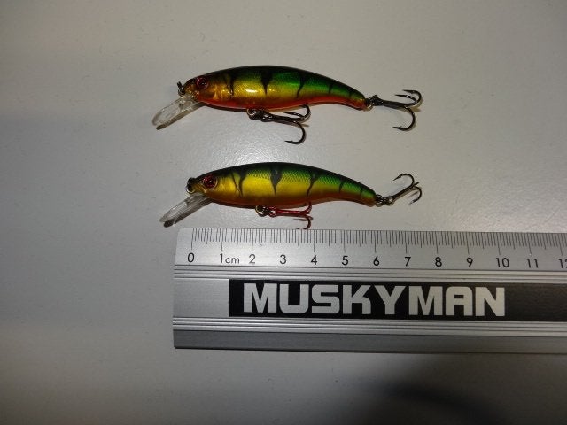 Kunstaas: Fox Rage Slick Stick 60 Shallowrunner Suspending, Verzenden, Gebruikt, Overige typen