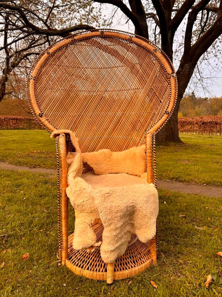 Vintage Rotan Pauwenstoel - Bohemian Stijl, Huis en Inrichting, Ophalen, Gebruikt, Bruin, Riet of Rotan