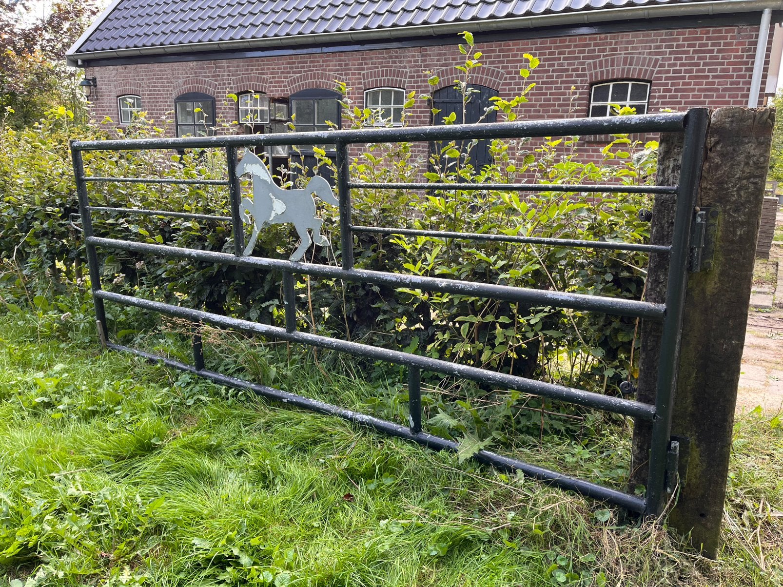 Weidehek met paard (300x120 cm), Ophalen of Verzenden, Gebruikt, Overige materialen, Overige typen