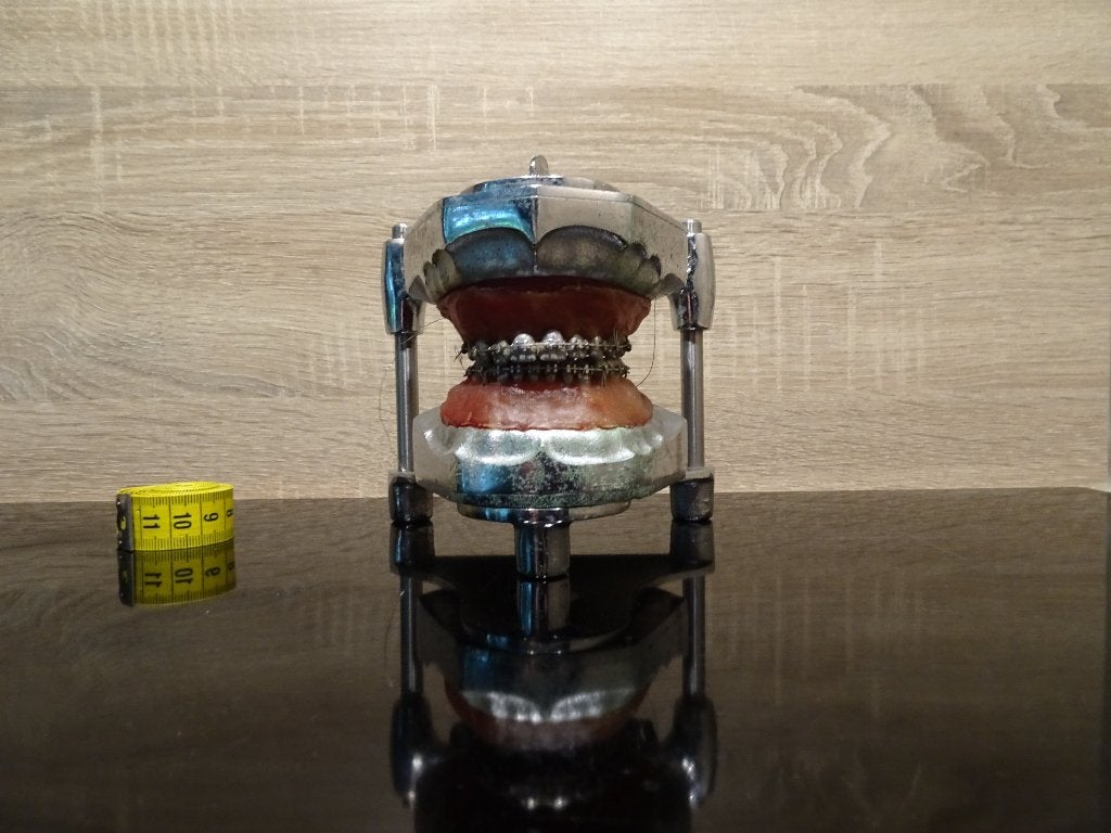 tandarts model gebit vintage, Ophalen of Verzenden