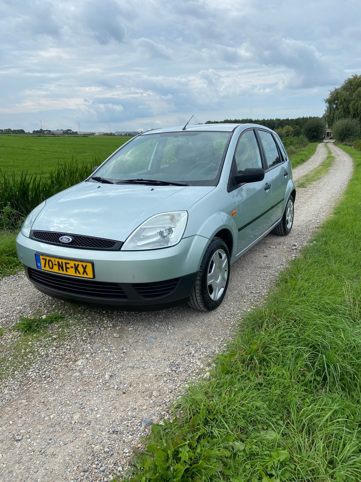 Ford Fiësta 1.25 16V 5DR 2003 Groen, Auto's, Voorwielaandrijving, 600 kg, 1242 cc, 4 cilinders