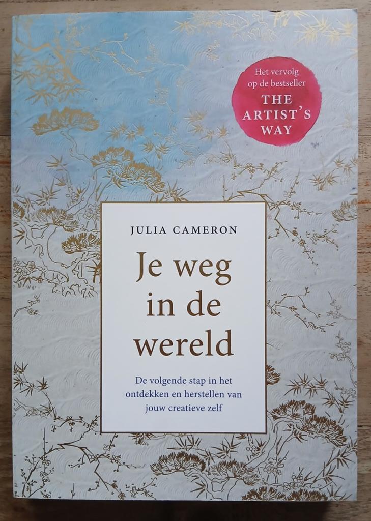 Julia Cameron, Je weg in de wereld, Boeken, Ophalen of Verzenden, Gelezen