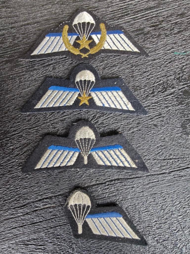 4 Wings NL, Verzamelen, Ophalen of Verzenden, Landmacht, Nederland, Embleem of Badge