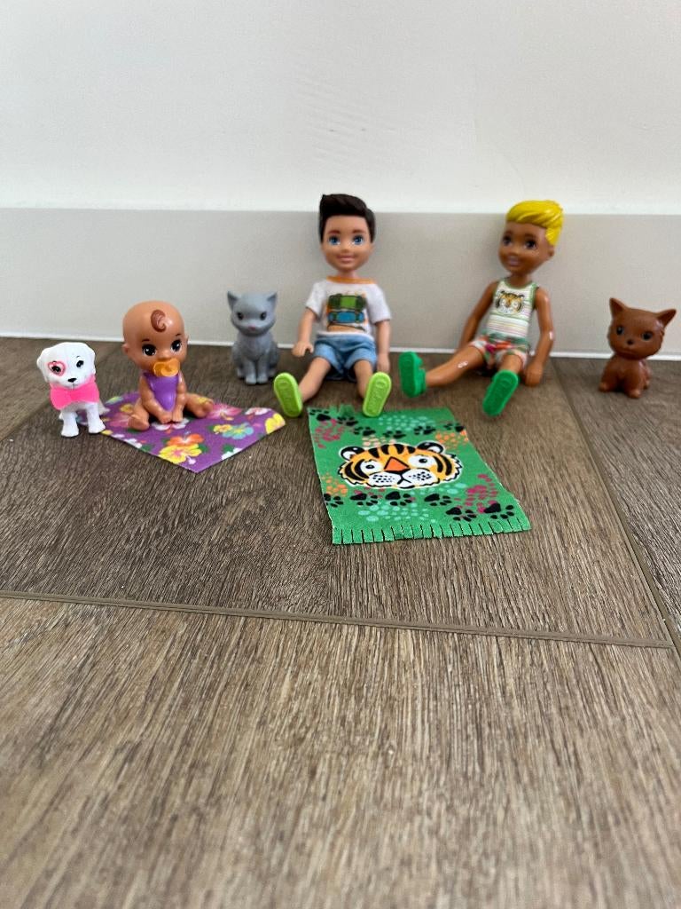 Barbie Chelsea baby en kinderpoppen en huisdieren, Ophalen, Gebruikt, Barbie