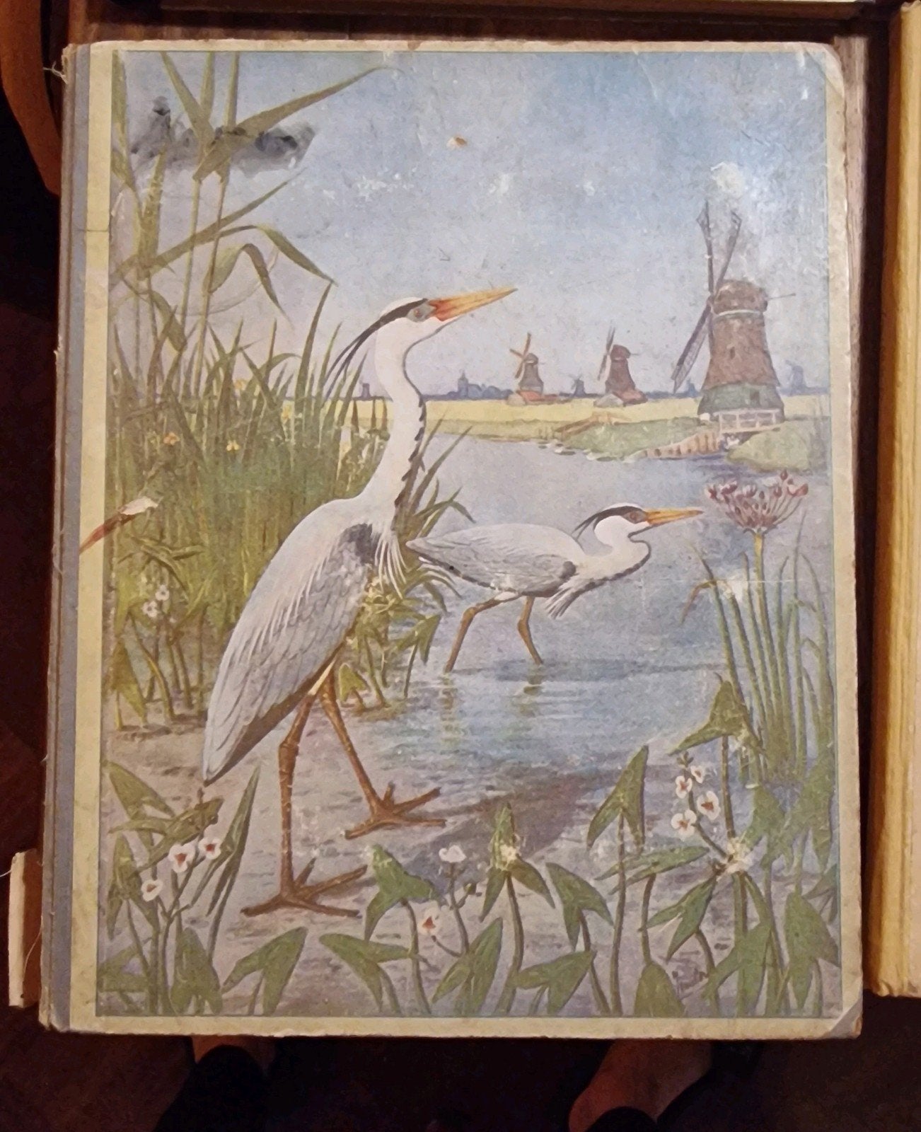Jac P Thijsse - Lente (1906), Gelezen, Ophalen of Verzenden, Vogels, Jac. P. Thijsse