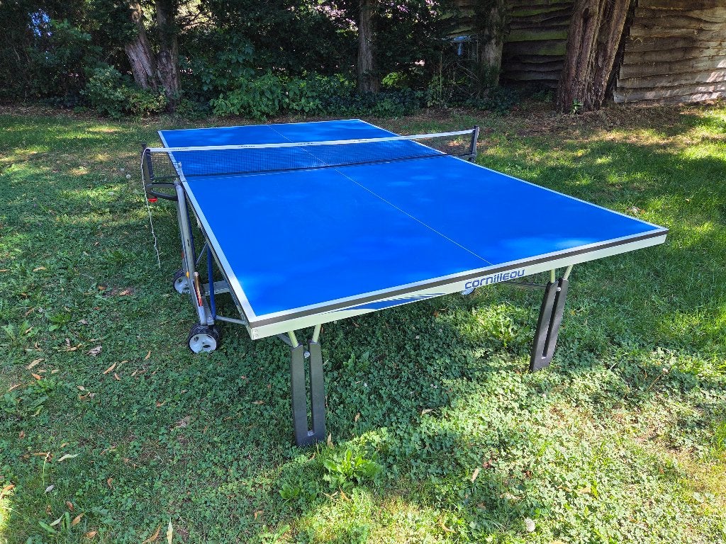 Tafeltennistafel, Sport en Fitness, Tafeltennis, Ophalen, Zo goed als nieuw, Tafel Indoor, Verrijdbaar
