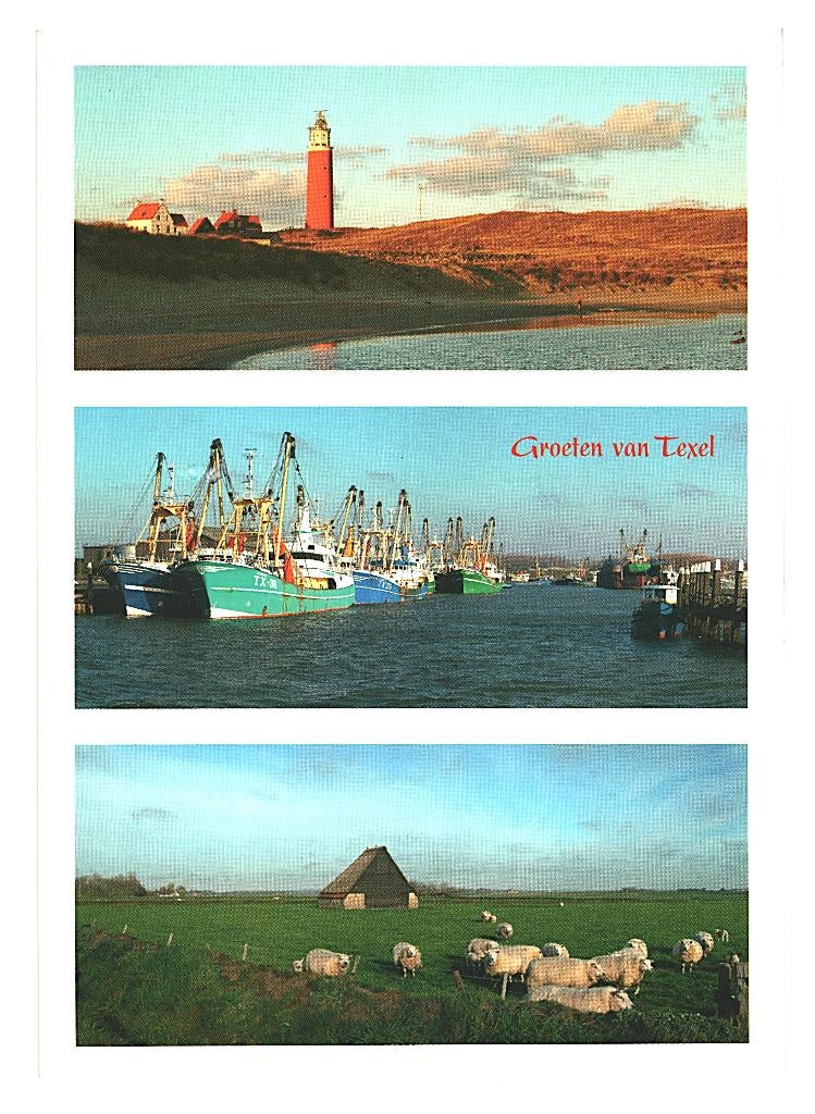 36470 Texel Wad 80+ Gelopen met postzegel, Ophalen of Verzenden, 1980 tot heden, Gelopen, Waddeneilanden