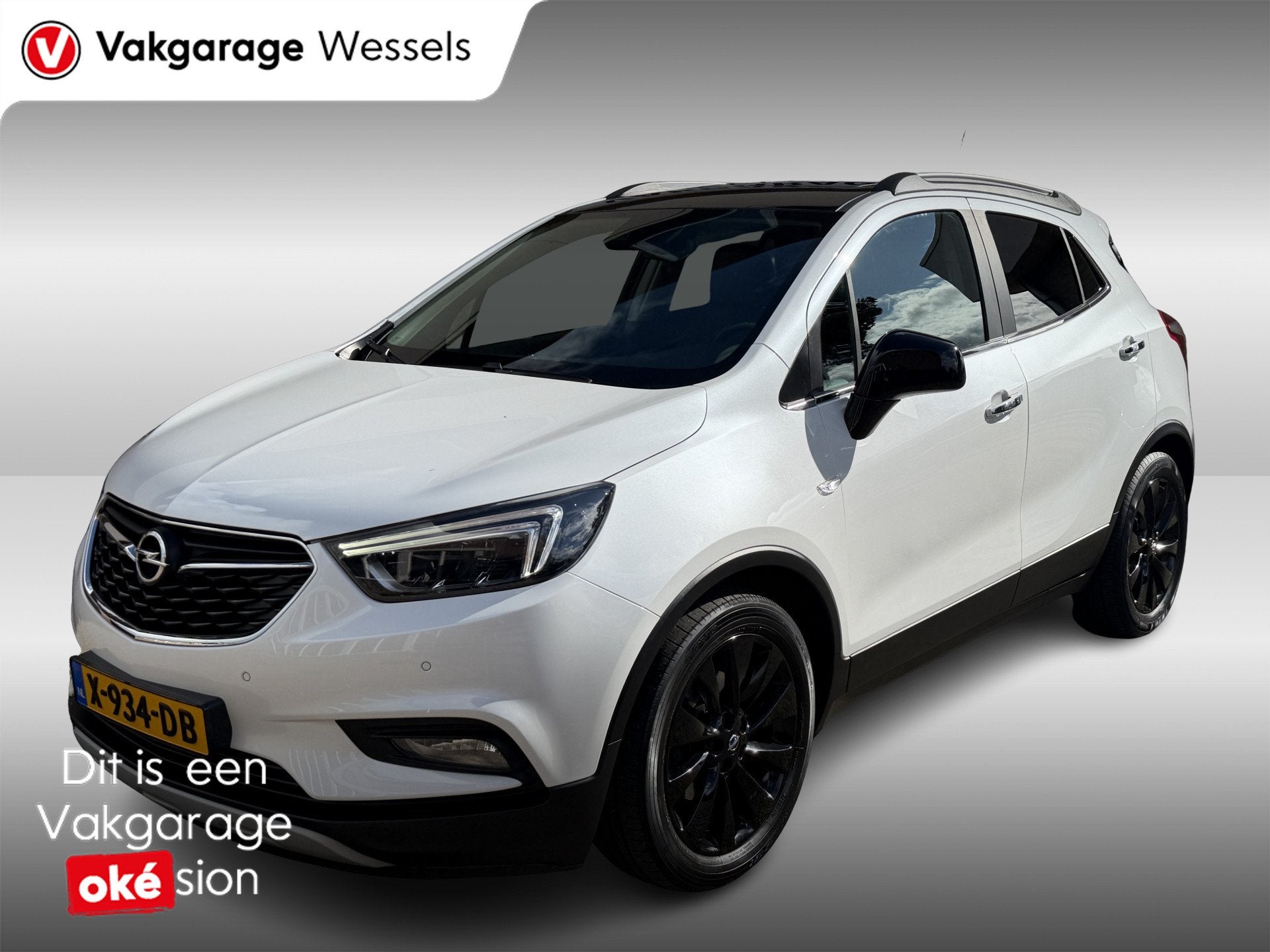 Opel Mokka X 1.4 Turbo Automaat Innovation | Clima | Camera