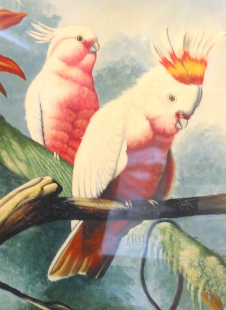 Een schilderij Daniel Mountier ./ Kakatoe, Ophalen of Verzenden, Schilderij, Minder dan 50 cm