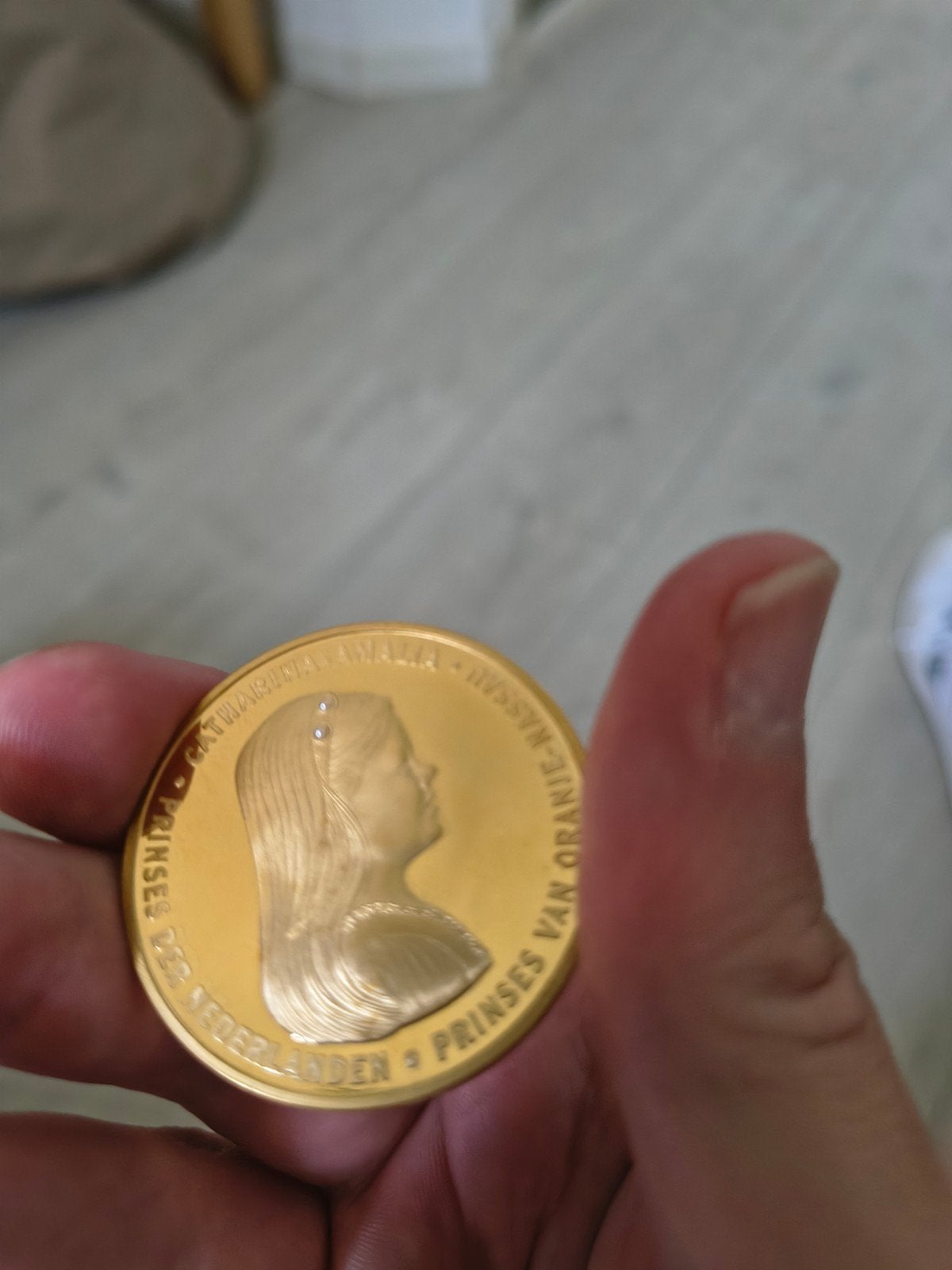 prinses van oranje nassau zeldzame munt 
Catharina Amalia, Ophalen, Koningin Beatrix, Overige waardes, Goud
