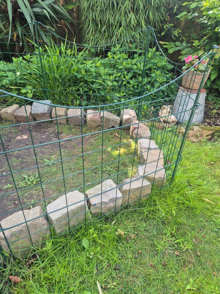 Stevige tuinhekjes, Tuin en Terras, Tuinhekken en Hekwerk, Ophalen of Verzenden, IJzer