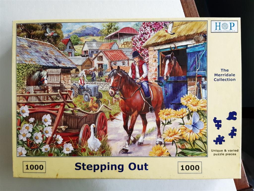 HOP/ House of puzzles Stepping out 1000 stukjes, Ophalen of Verzenden, 500 t/m 1500 stukjes, Gebruikt, Legpuzzel