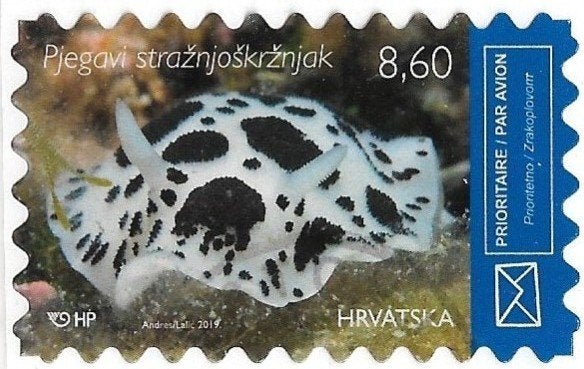 Kroatië 2019 mi.1282 zeeleven  ZEESLAK, Verzenden, Overige landen, Gestempeld