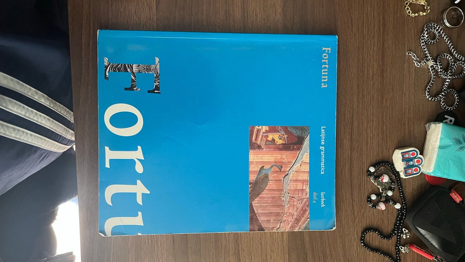 Fortuna Latijnse grammatica leerboek deel A, Boeken, Ophalen of Verzenden, Alpha, Zo goed als nieuw, Overige niveaus