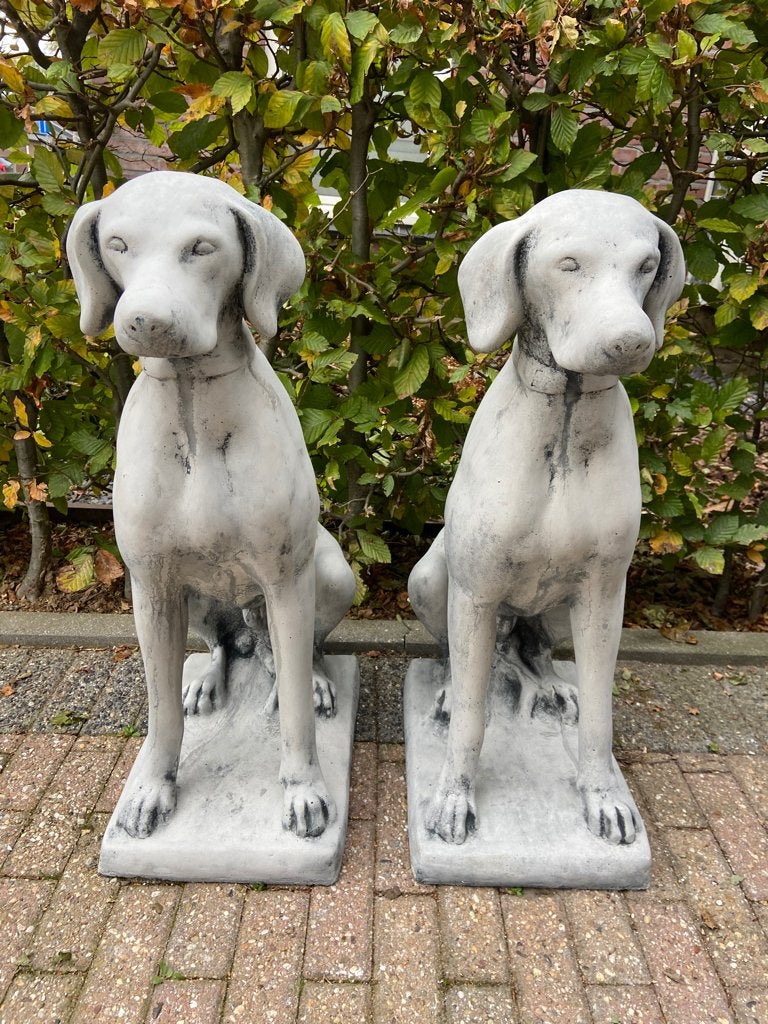 Engelse Jachthond, Ophalen, Nieuw, Beton, Dierenbeeld