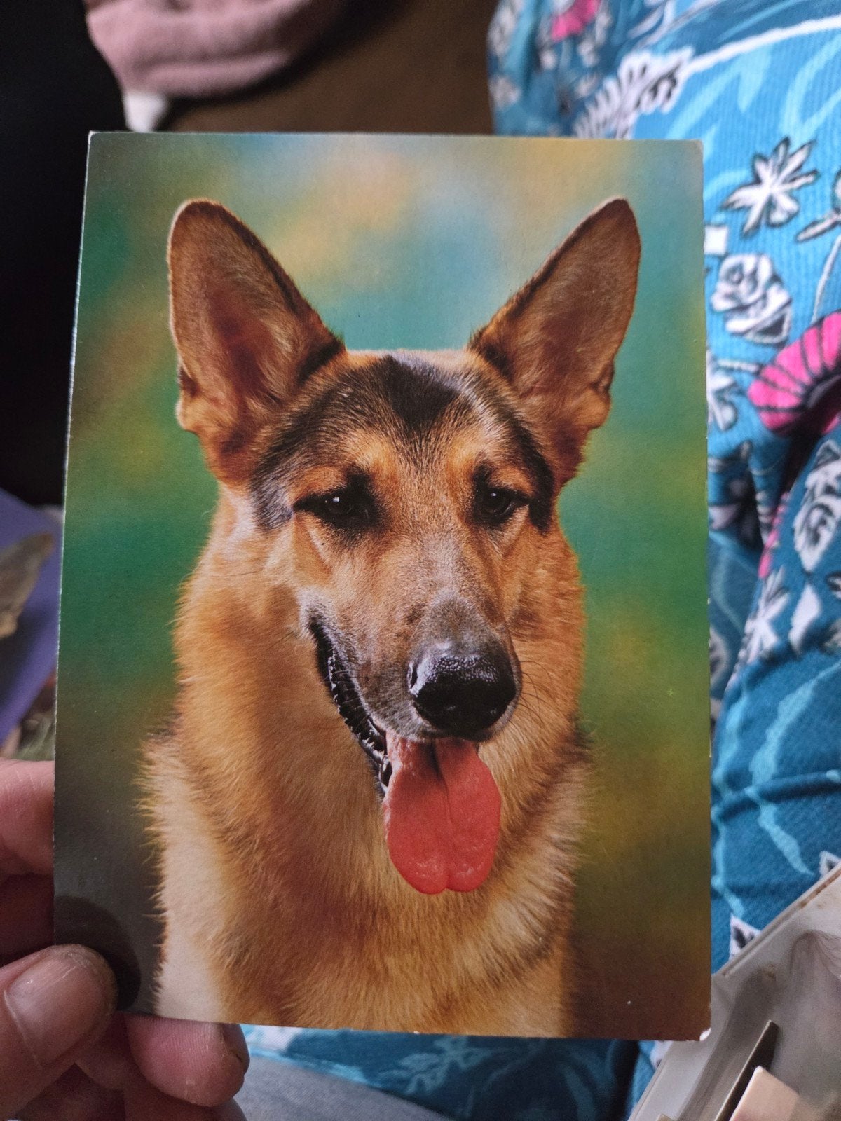 Vintage Ansichtkaart Duitse Herder Hond, Ophalen of Verzenden
